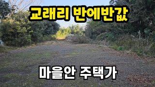 경매 제주시 조천읍 교래리 마을안 1천평 반에반값 010 4436 0401 제주도부동산 토지 매매 급매물