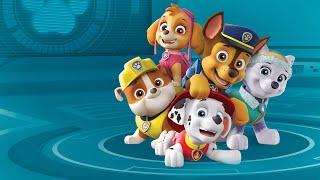 PAW Patrol - theme song (German, Toggolino version)