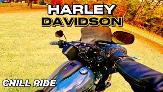 Chill POV Motorcycle Ride with SynthWave Music, Pure Engine Sound Harley Davidson Low Rider ST ASMR