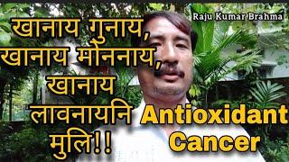 Khanai Gunai, Khanai, Mwnnai, Khanai Laonaini Muli || Antioxidant Cancer