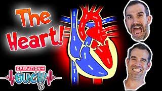 #ValentinesDay Special! ️ - All About The Heart! | Science for Kids | Operation Ouch