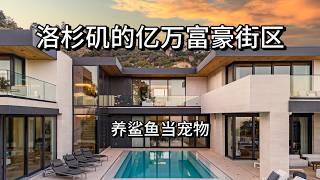 $2300万美金! 洛杉矶富豪街区 “Bird Street” 在家养鲨鱼？