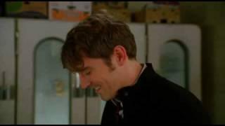 Pushing Daisies - World Hello Day