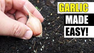 5 Quick Garlic Growing Tips - Garden Quickie Episode 221