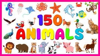 150 Animals Names | 50 Farm Animals + 50 Sea Animals + 50 Wild Animals Kids and Toddlers Learning