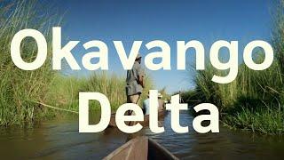 Do you want to travel to the Okavango Delta?