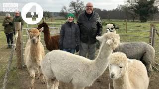 Ian Marchant Presents... 'The Changing Thetford Forest' (Radio 4 - 17.01.2019)