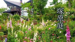 【Private Residence】 Ms.Michiko Tsukahara's Residence. MF Garden w/Mount Fuji. 塚原邸 #富士山 #オープンガーデン