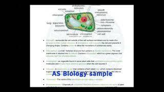 AS biology sample class