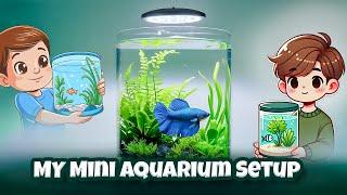 LOW BUDGET PLANTED TANK SETUP (NO CO2, FERTILIZER, FILTER) #fishing #plantedaquarium #nagercoil