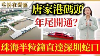 【生活在灣區】珠海唐家港碼頭即將開通，30分鐘直通深圳蛇口，高新區潛力大增？