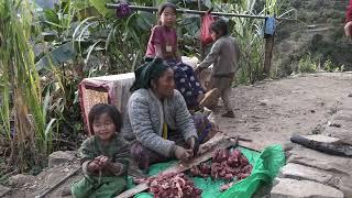 Traditional village documentry || Nepali village life