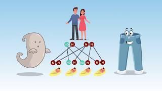 The Genetics of Huntington's Disease