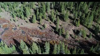 Drone, Wyoming Backcoutry 1