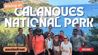 Calanques Hike and Beach Bliss: Team Building Fun | Marseille