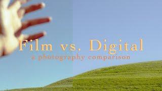 35mm Film vs. Digital // A photography comparison