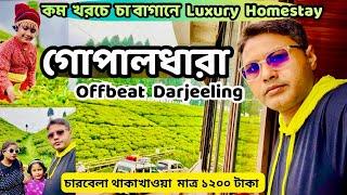 Best Budget Luxury Homestay in North Bengal || Offbeat Darjeeling || Gopaldhara Tea Garden Mirik