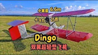 Dingo超轻型飞机，它是真的想教你自制一架飞机#ultralight