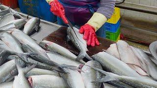 800 tons a year! Amazing Milkfish Cutting Skills / 虱目魚切割, 紅燒虱目魚肚, 魚皮湯 - Food Factory