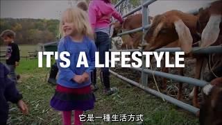 什麼是純素主義? 為什麼要純素? What Is VEGANISM? And WHY?