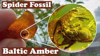 Prepping Amazing spider fossil in Amber