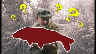 Will my 70 year old Carp Rod still perform?? ¦ Old School Carp Fishing