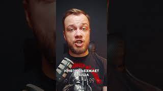 Сортирный эксперт @antibloger_official #антиблогер #блогер #блогеры #интересно