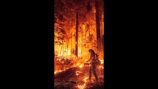 Otherworldly Images Capture Rage Of Park Fire