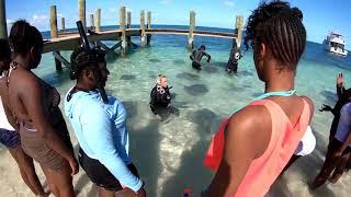 Sharks4Kids with Lizzie Daly: Bahamas Adventure