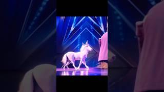 America's Got Talent Unicorn / Horse  Magic | Duo Schumacher#AGT#americagottalent#magic