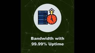 Best Forex VPS USA | New York Forex Trading VPS Hosting | Forex VPS Server
