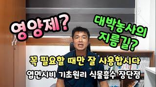 영양제? 대박농사의 지름길? 꼭 필요할때만 잘 사용합시다 엽면시비 기초원리 및 장단점 #홍성군농업기술센터