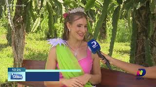 Festival das pitaias em Joinville  Exótica fruta encanta visitantes e promove turismo ecológico