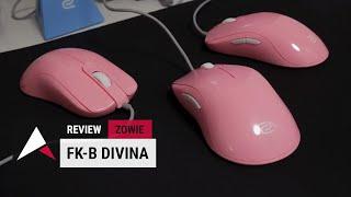 ZOWIE DIVINA FK-B Series Mouse Review