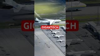 The largest aircraft in the world!