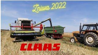 Pierwszy dzień żniw 2022 Rzepak Claas Mega 350 Arion 440 Ursus 1012