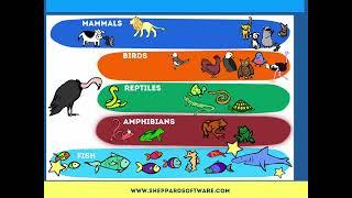 Animal Classification Game - Early Science Game - Identify Mammals, Reptiles, Birds and more!