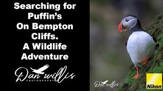 Searching for Puffins on Bempton Cliffs. A Wildlife Adventure