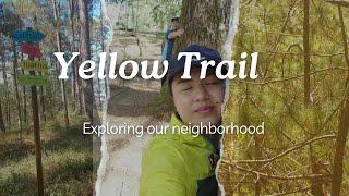 Yellow Trail, Camp John Hay, Baguio City | by Pinay at Sea