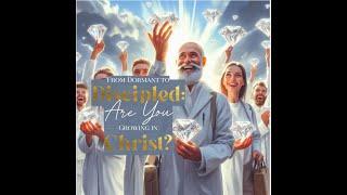 From Seed to Harvest: How to Grow Spiritually & Fulfill the Great Commission