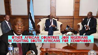 See How Other African countries have Joined Nigeria in Fighting South Africans for rejecting Blacks