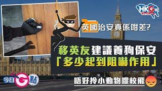 【今日G點】英國治安真係咁差？  移英友建議養狗保安  「多少起到阻嚇作用」