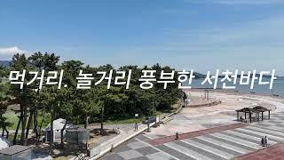 서해안시대 서천군 바닷가 땅