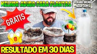 SE VOCÊ TEM ISSO EM CASA, NÃO JOGUE FORA É O MELHOR ADUBO PARA PLANTAS