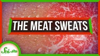 Are the Meat Sweats a Real Thing?