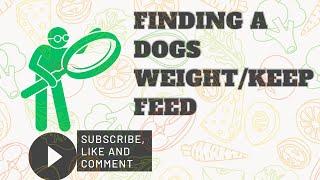 Finding a Dogs Weight/Keep Feed