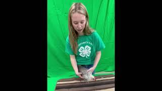 4-H Poultry Showmanship Demonstration