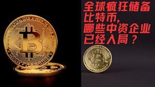 中国博雅互动成为亚洲最大企业比特币持有者！全球上市公司疯狂储备比特币，哪些中资企业已经入局？