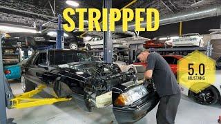 Foxbody Mustang Engine Bay Revamp - This is how you do it!