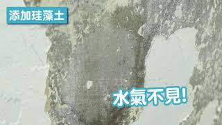 壁癌噴霧1091104133516 9 FB極致 秋冬壁癌